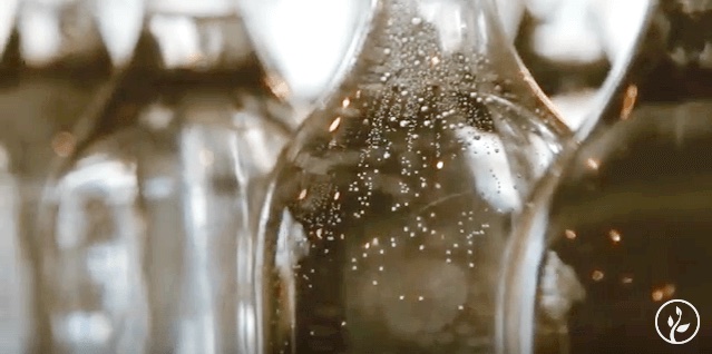 Water Bottle Close-up