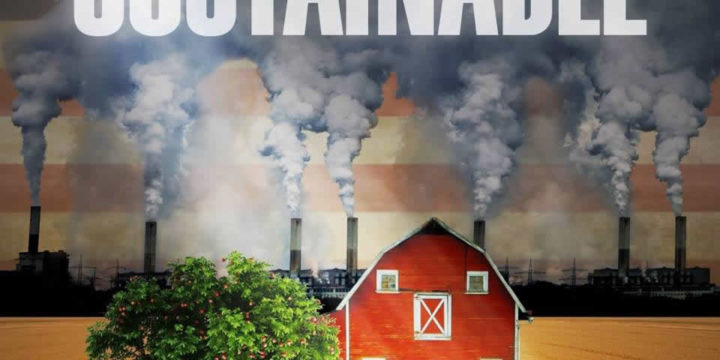 DOCUMENTARY REVIEW: SUSTAINABLE
