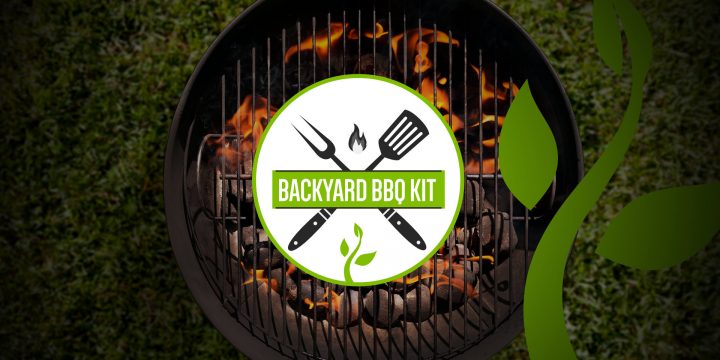 Backyard BBQ Kit